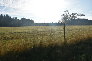 DSC_6524.JPG