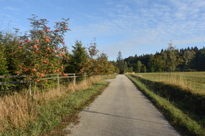 DSC_6533.JPG