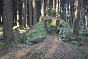DSC_6537.JPG