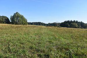 DSC_6564.JPG