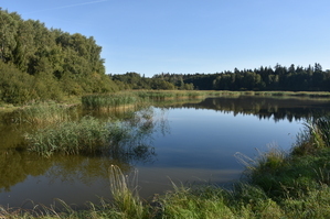 DSC_6565.JPG