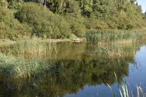 DSC_6566.JPG