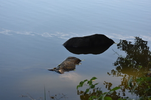 DSC_6567.JPG