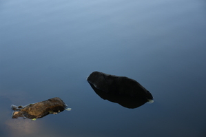 DSC_6570.JPG