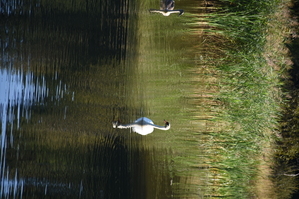 DSC_6571.JPG