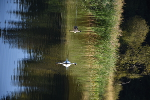 DSC_6572.JPG