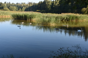 DSC_6574.JPG