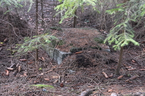 DSC_6585.JPG
