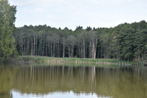DSC_6592.JPG