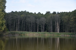 DSC_6594.JPG