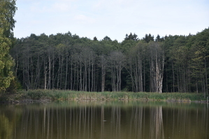 DSC_6595.JPG