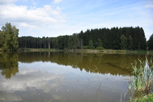 DSC_6596.JPG