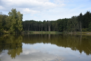 DSC_6597.JPG