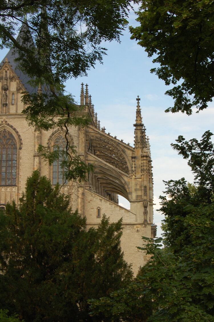an1_028673.jpg
