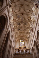 an1_028653.jpg