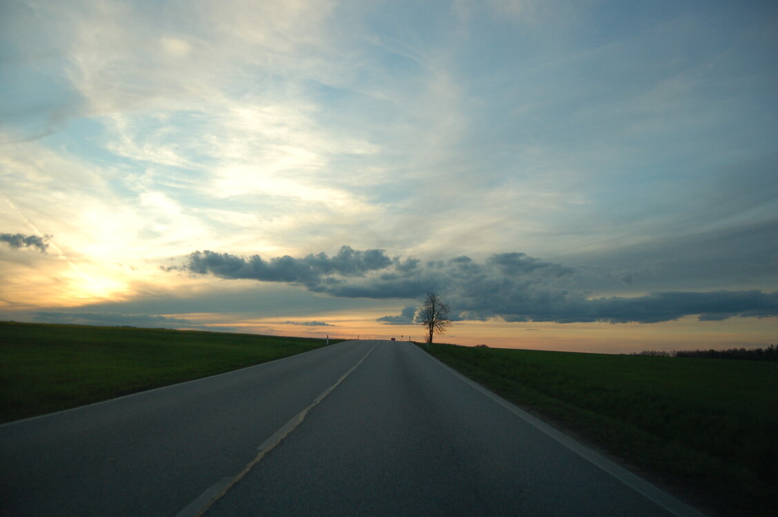 an1_041631.jpg